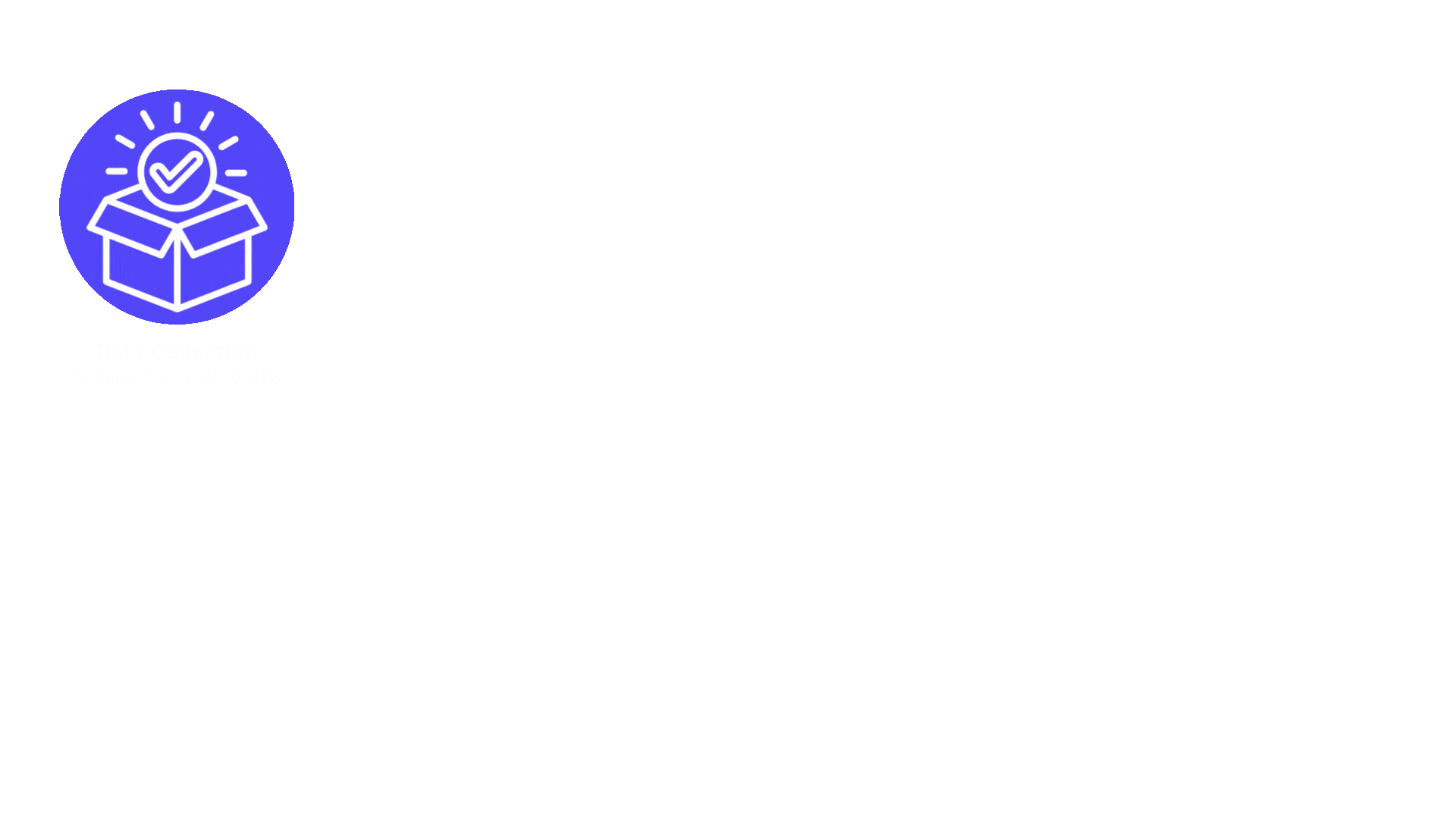 Flujo de proceso Octopus